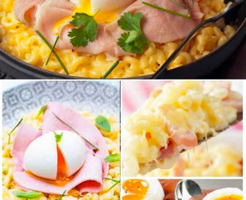 Coquillettes au Fromage Jambon Blanc.