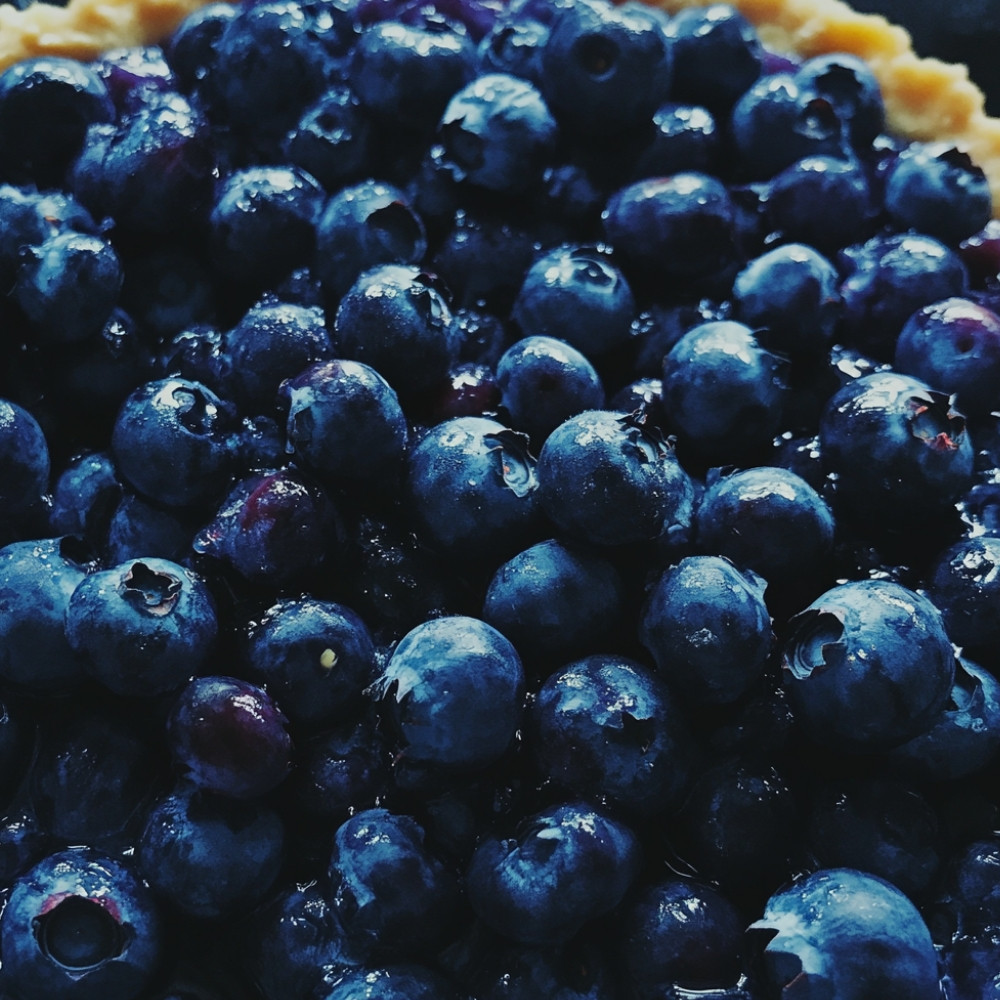 Tarte aux bleuets